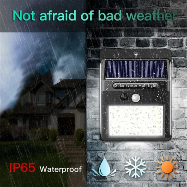 Outdoor LED Solar Light