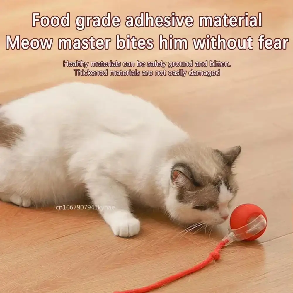 🔥Last Day 50% OFF-Upgraded! Rechargeable Magic Ball for Cat - Dog Interaction, endless fun! (Buy 2 Get 1 Free)🪀