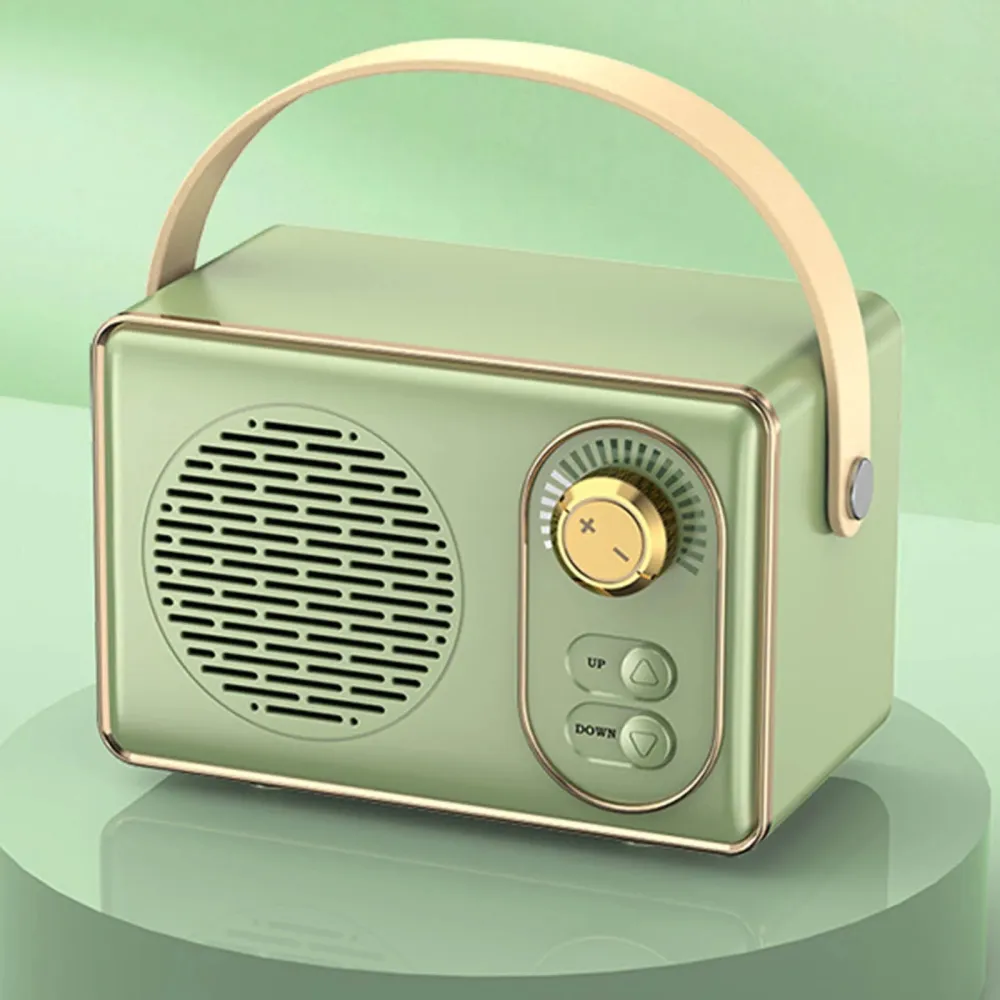 Portable Audio System