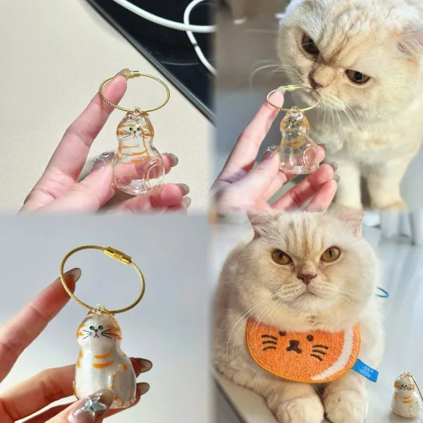 🎉Pet Hair Storage Keychain, the keychain for storing your cute pet's hair, is now on 50% off!
