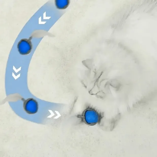 🔥Last Day 48% OFF - SPEEDY TAIL 2.0 (Buy 2 Get 1 Free)