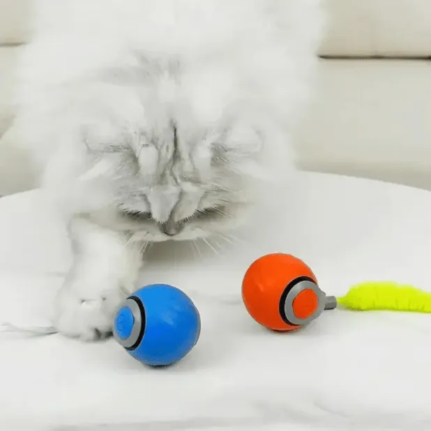 🔥Last Day 48% OFF - SPEEDY TAIL 2.0 (Buy 2 Get 1 Free)