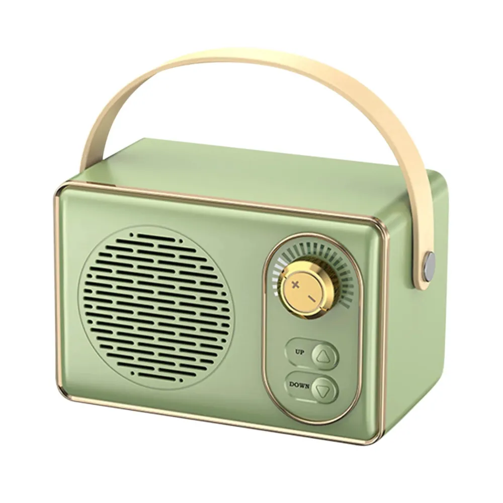 Portable Audio System