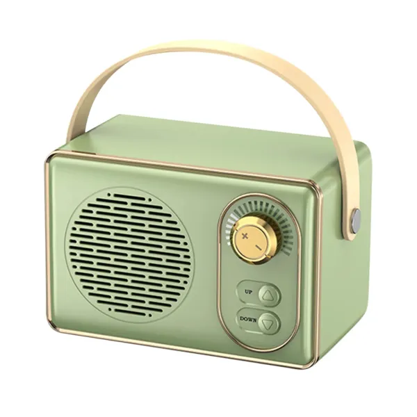 Portable Audio System