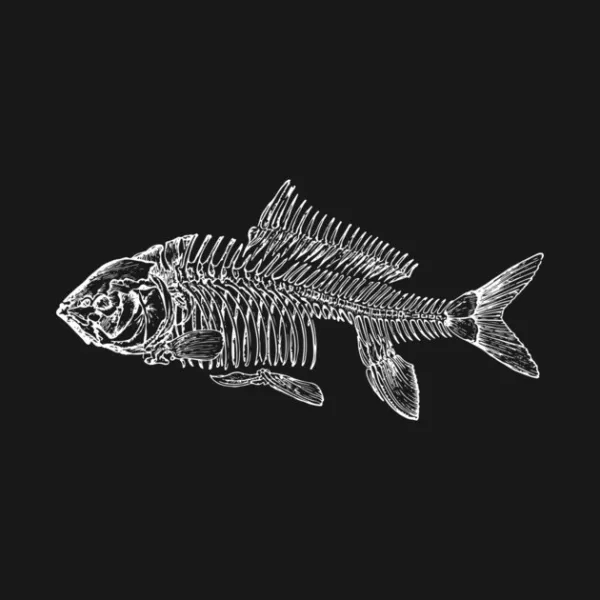 Fish Skeleton Hoodie