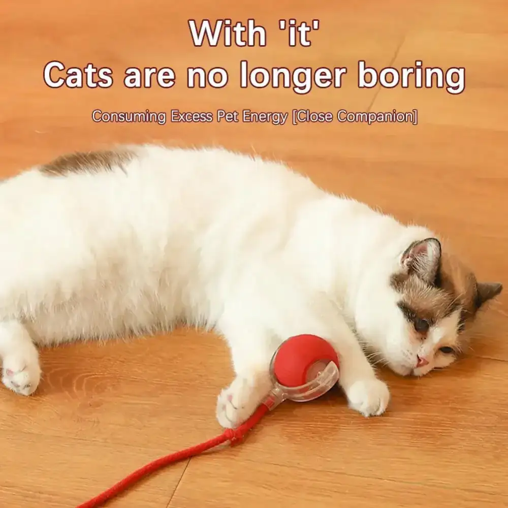 🔥Last Day 50% OFF-Upgraded! Rechargeable Magic Ball for Cat - Dog Interaction, endless fun! (Buy 2 Get 1 Free)🪀