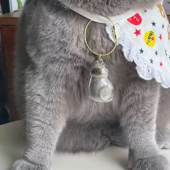🎉Pet Hair Storage Keychain, the keychain for storing your cute pet's hair, is now on 50% off!