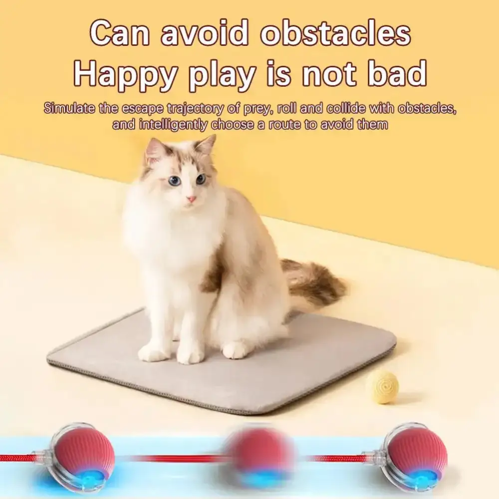 🔥Last Day 50% OFF-Upgraded! Rechargeable Magic Ball for Cat - Dog Interaction, endless fun! (Buy 2 Get 1 Free)🪀