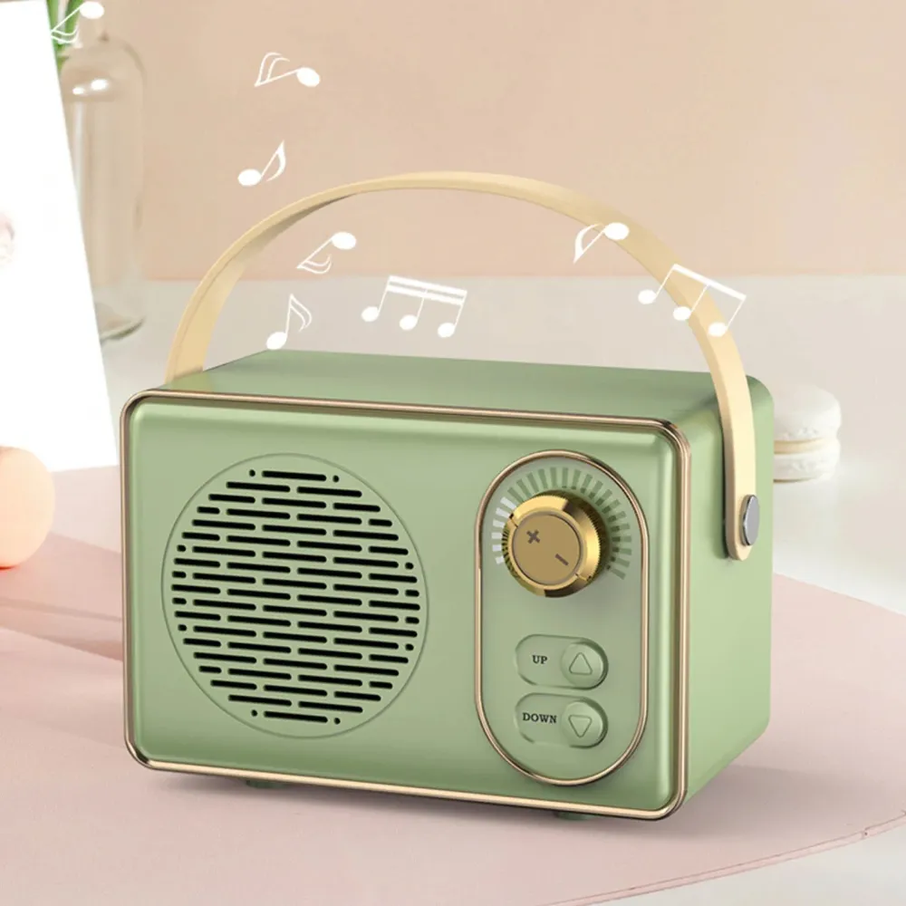 Portable Audio System