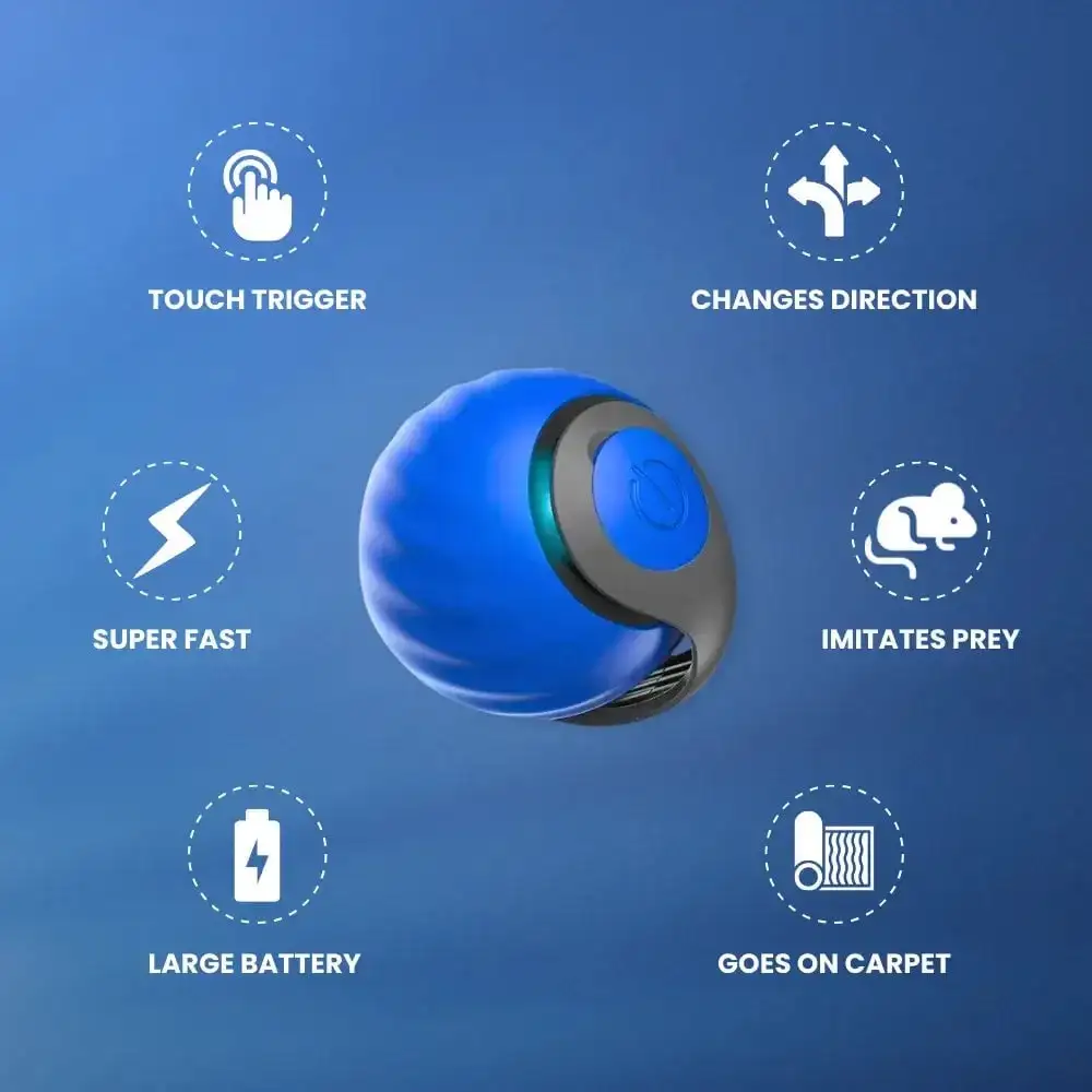 🔥Last Day 48% OFF - SPEEDY TAIL 2.0 (Buy 2 Get 1 Free)