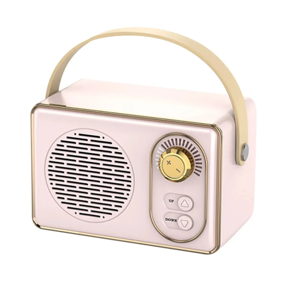 Portable Audio System
