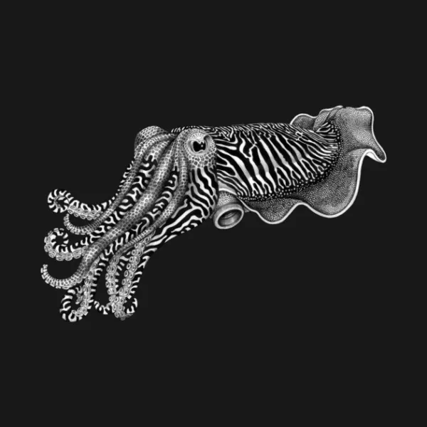 Cuttlefish Hoodie