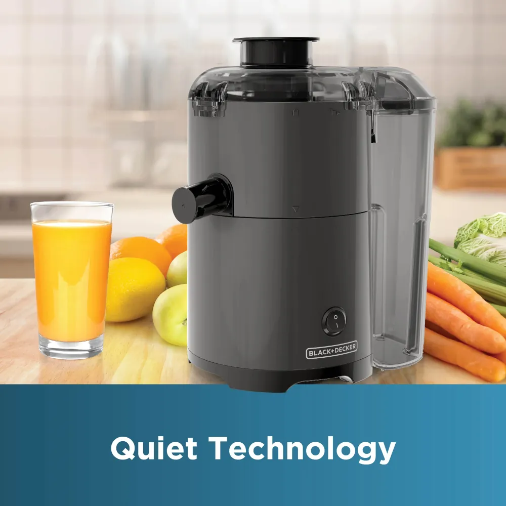 Multi Functional Fast Juicer