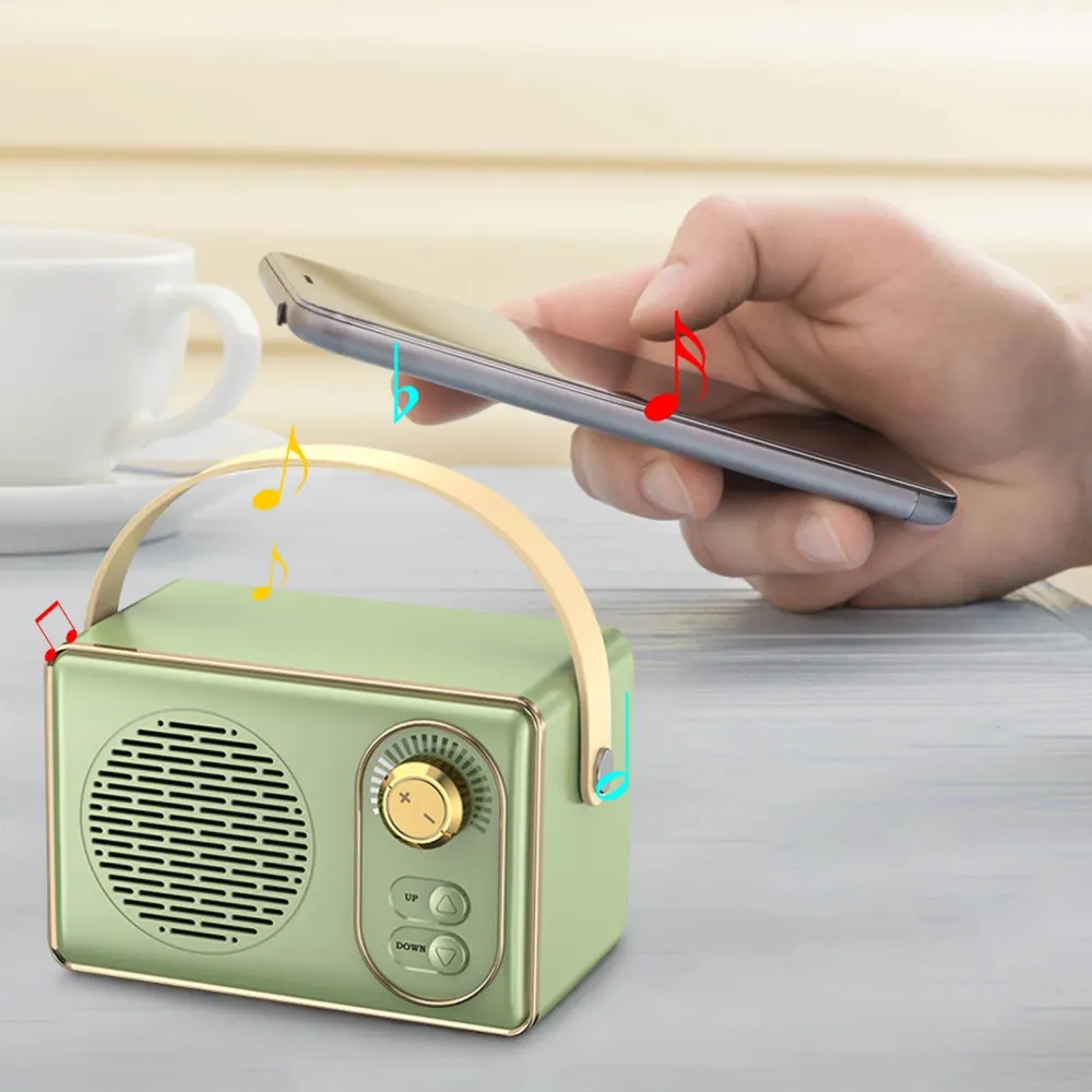 Portable Audio System