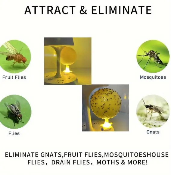 🌳Environment - friendly High - tech: Bid Farewell to Indoor Flying Insect Troubles for the Whole Family! 🛡️