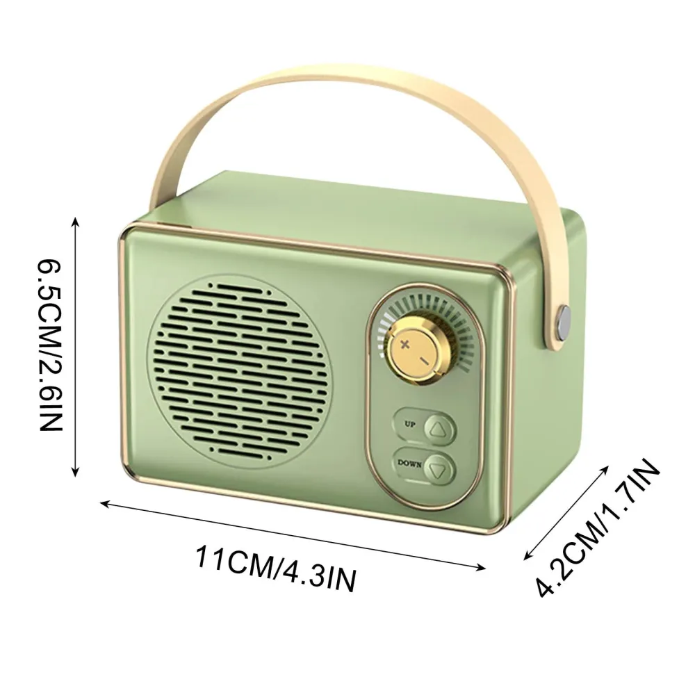 Portable Audio System