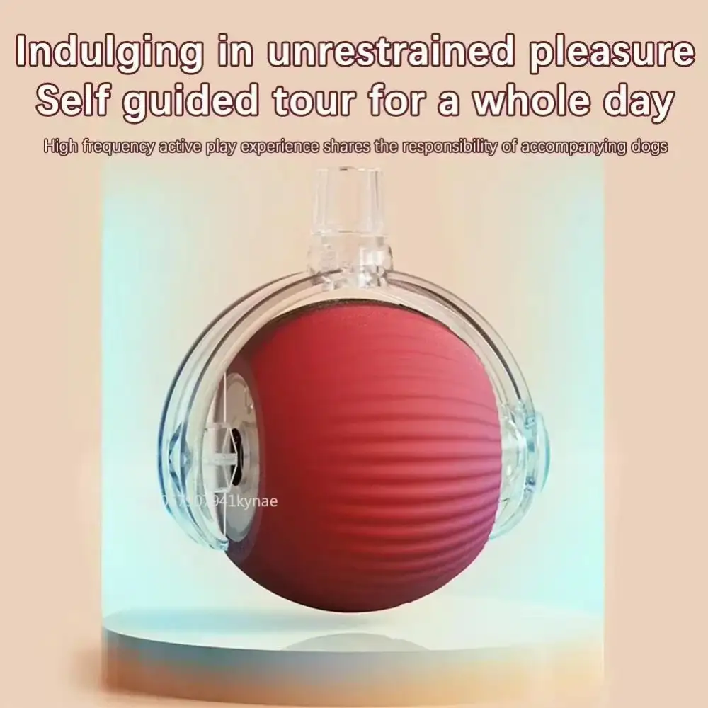 🔥Last Day 50% OFF-Upgraded! Rechargeable Magic Ball for Cat - Dog Interaction, endless fun! (Buy 2 Get 1 Free)🪀