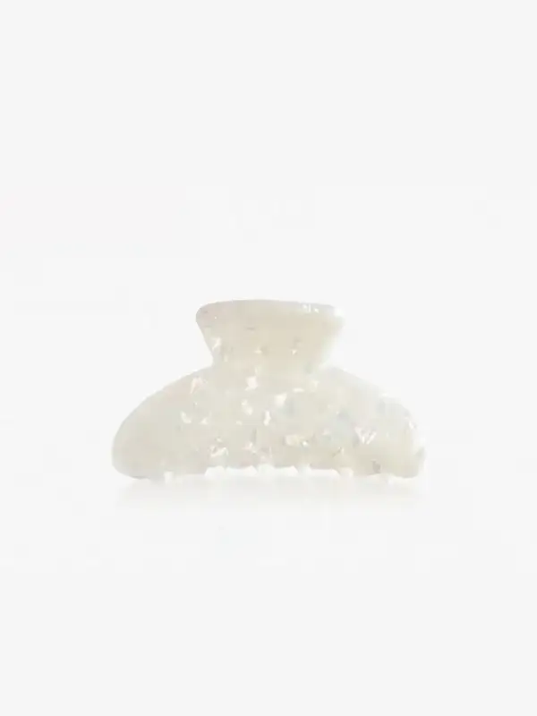 Fan Shape Claw Hair Clip