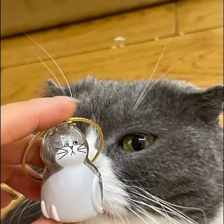 🎉Pet Hair Storage Keychain, the keychain for storing your cute pet's hair, is now on 50% off!
