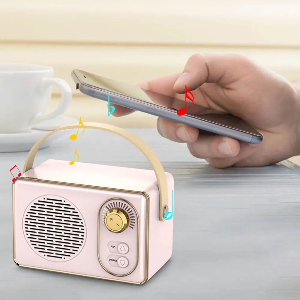 Portable Audio System