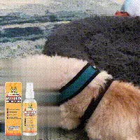 Yegbong Pet Anti-Chewing Spray: Pet Dog Indoor anti-biting and Scratching Sofa Bitter Spray2 pcs