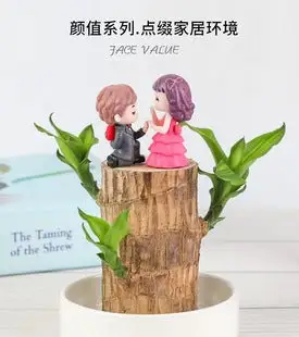 ✨Special Sale - 49% OFF✨Lucky Brazil Wood Potted Plant