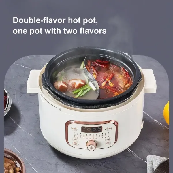 Dual Pot Electric Rice Cooker