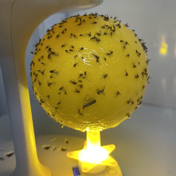 🌳Environment - friendly High - tech: Bid Farewell to Indoor Flying Insect Troubles for the Whole Family! 🛡️