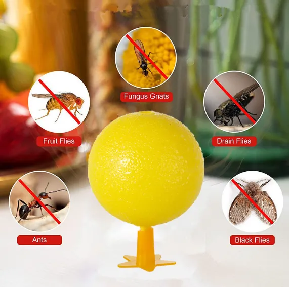 🌳Environment - friendly High - tech: Bid Farewell to Indoor Flying Insect Troubles for the Whole Family! 🛡️