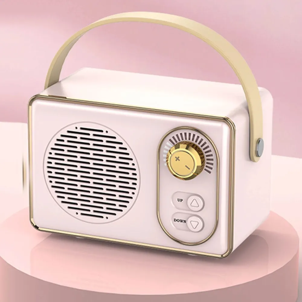 Portable Audio System