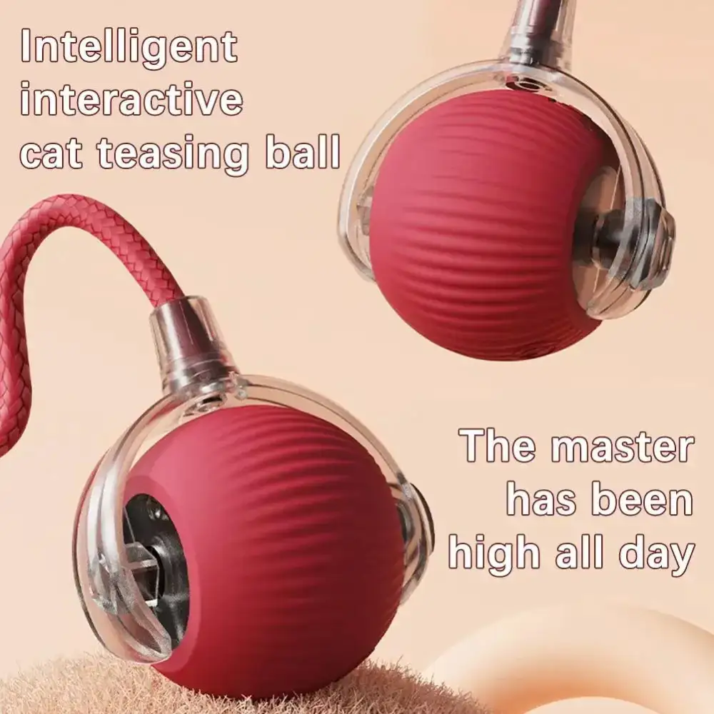 🔥Last Day 50% OFF-Upgraded! Rechargeable Magic Ball for Cat - Dog Interaction, endless fun! (Buy 2 Get 1 Free)🪀