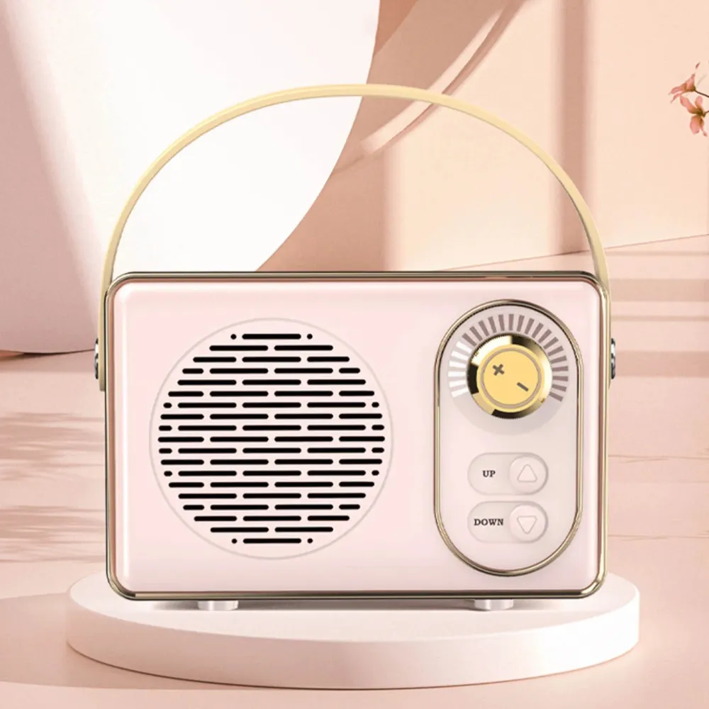 Portable Audio System