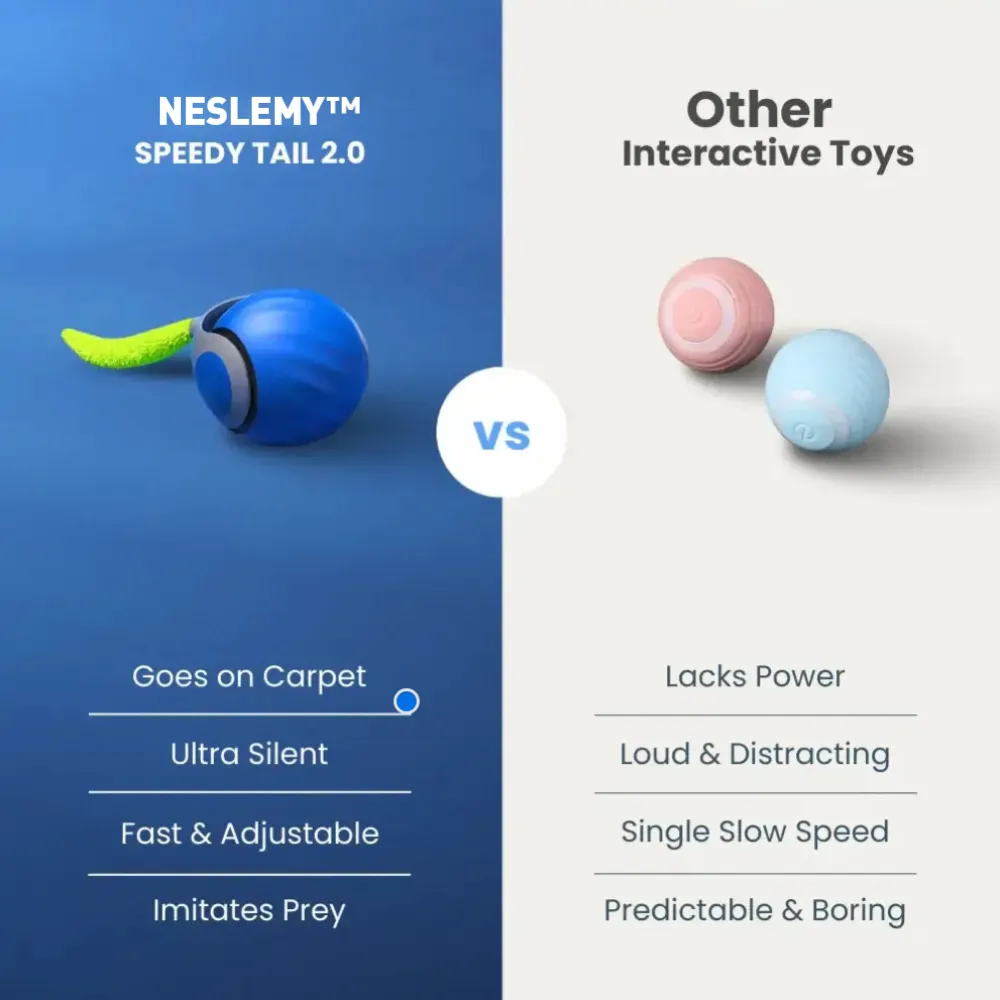 🔥Last Day 48% OFF - SPEEDY TAIL 2.0 (Buy 2 Get 1 Free)