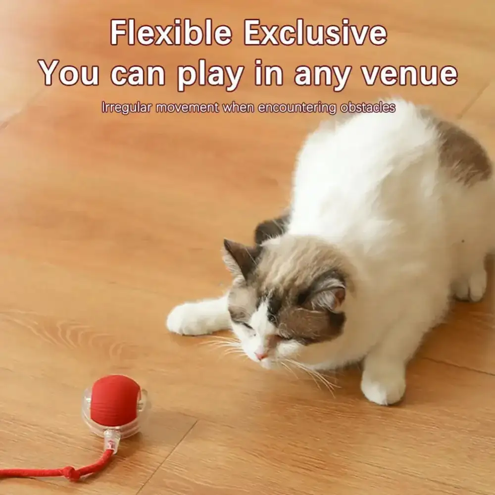🔥Last Day 50% OFF-Upgraded! Rechargeable Magic Ball for Cat - Dog Interaction, endless fun! (Buy 2 Get 1 Free)🪀