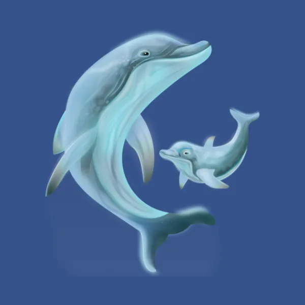 Dolphins Hoodie